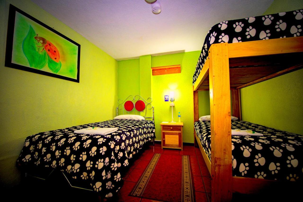 Mirador Oro Verde Quilotoa Zumbagua エクステリア 写真